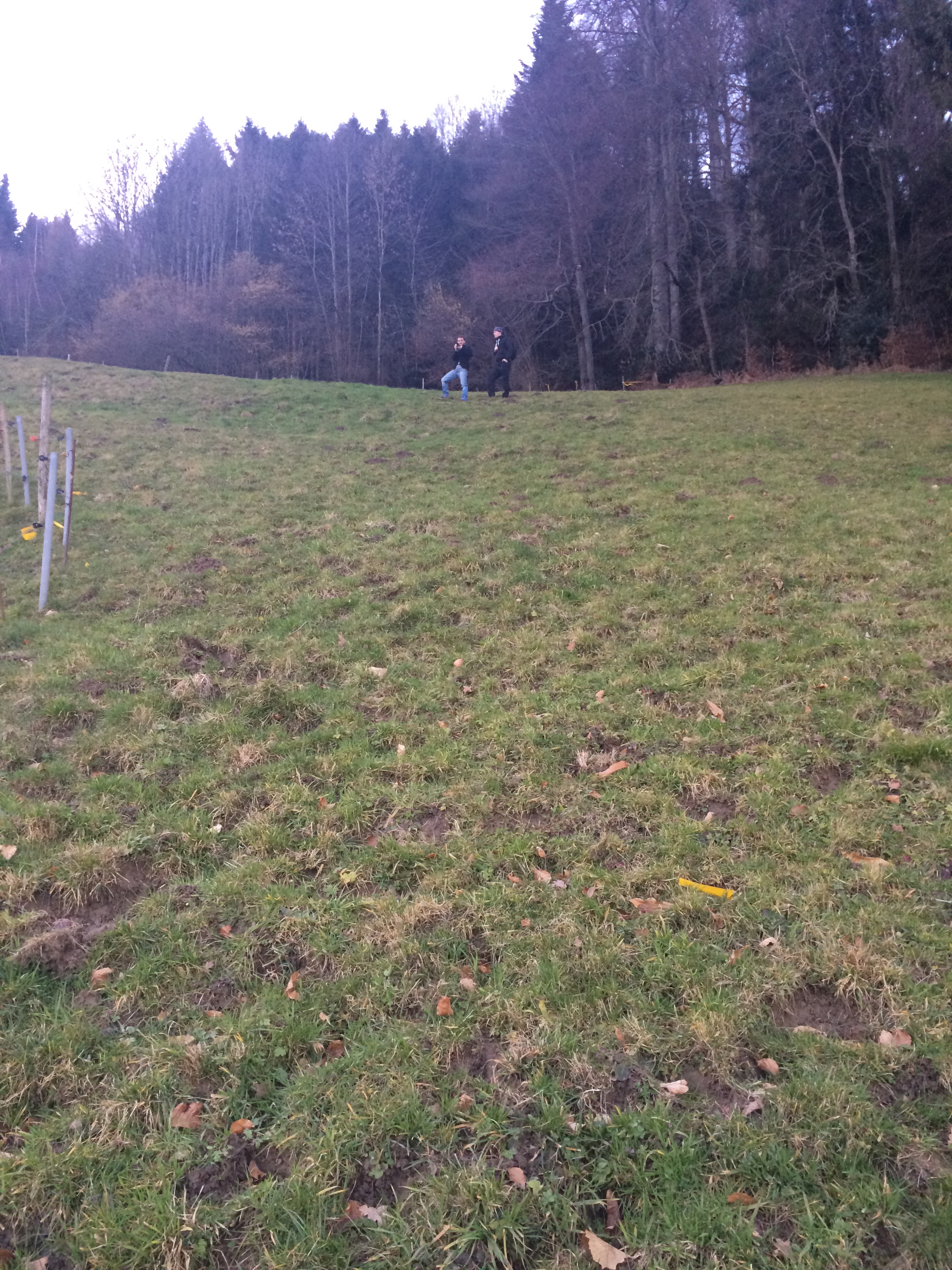 Early Ethereum team photo